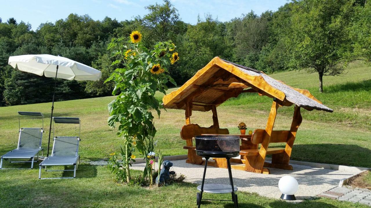 Ferienhaus Dreilaendereck Minihof Liebau Екстериор снимка